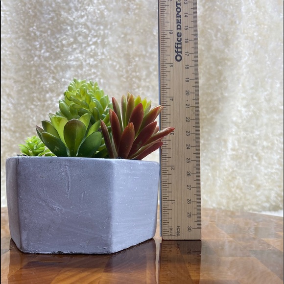 Faux succulents, 3-4 in 2”H hexagon shaped pots (2 available for purchase) - Picture 12 of 14